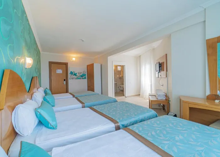 Club Sun Paradise 3* Avsallar